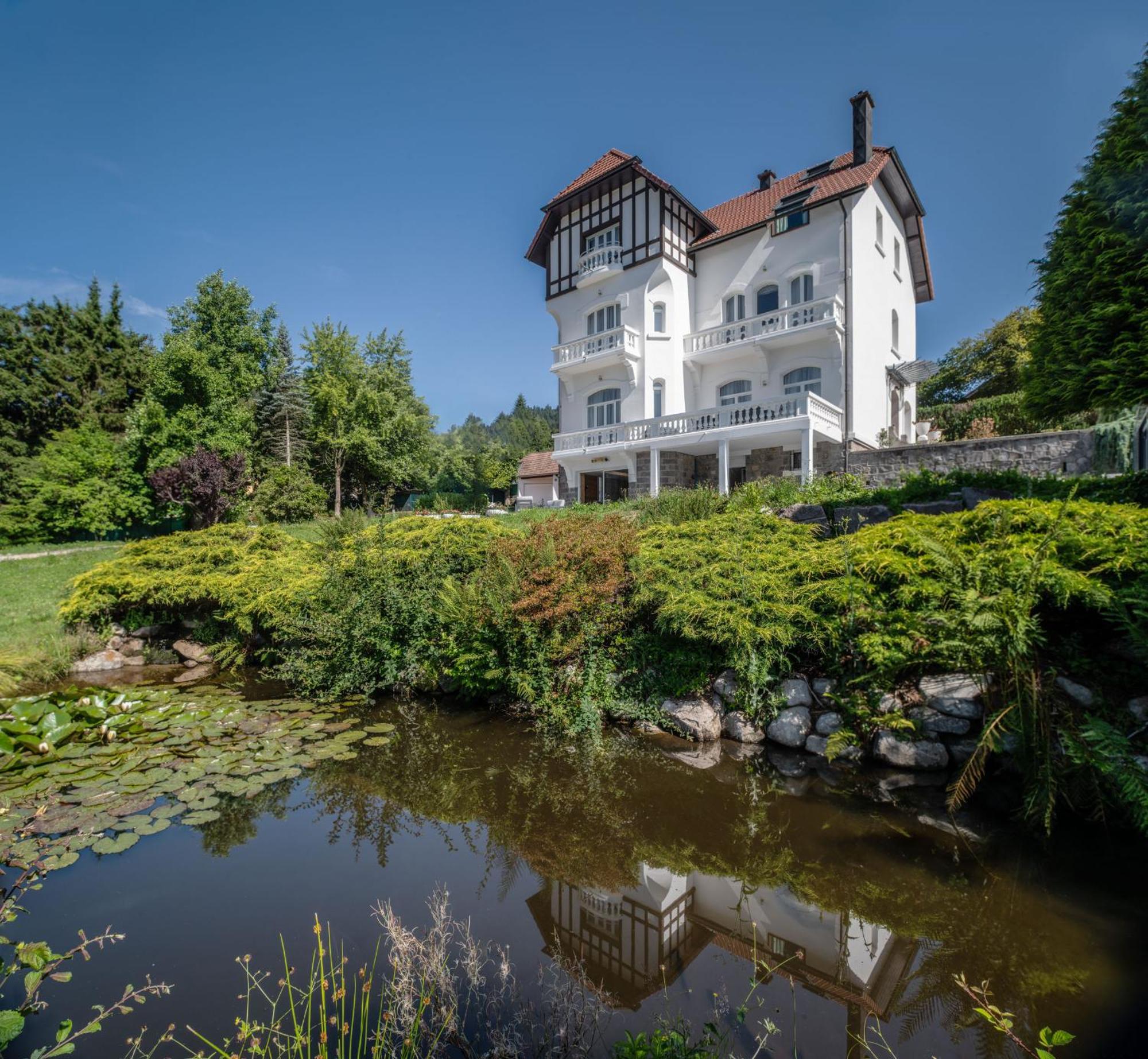 La Villa Concorde Gerardmer Bagian luar foto